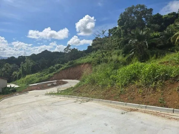 Terrain 300 m²