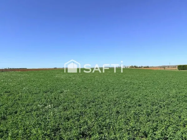 Terrain à bâtir 15895 m²