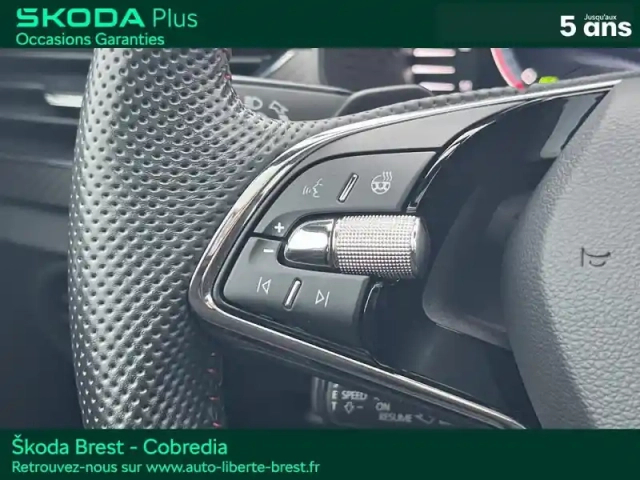 Skoda Kamiq 1.0 tsi evo 110ch monte-carlo dsg7 — photo 15
