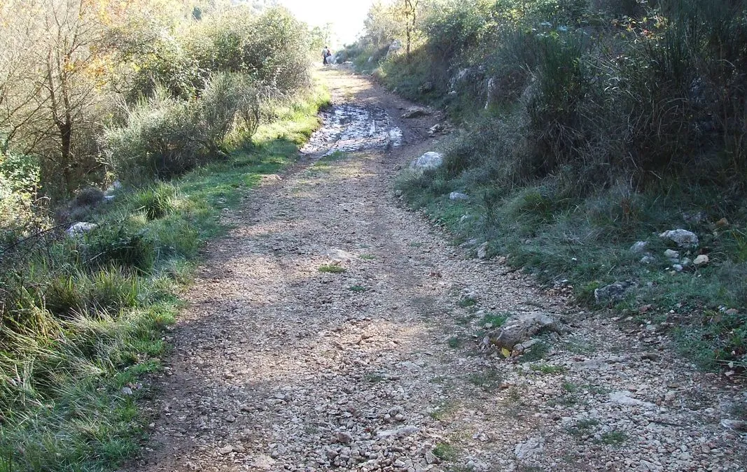 Photo 3