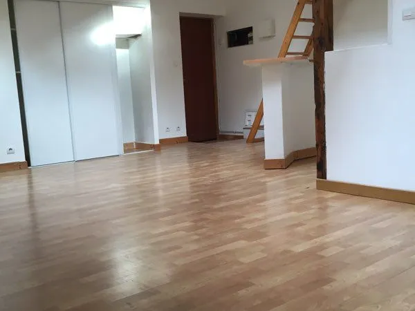 Studio loft coeur des pentes proche Terreaux (51 m2 au sol)