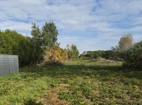 Terrain 1000 m²