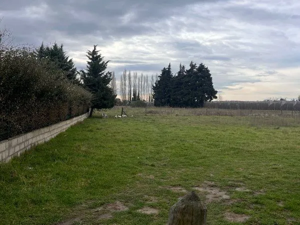 Location terrain agricole