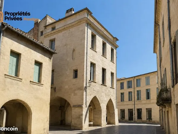 Hotel particulier 10 pièces 316 m²