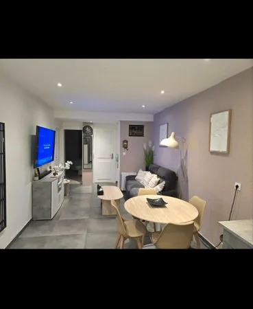 Appartement T3 tres spacieux