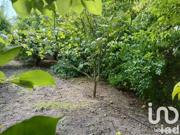 Terrain 16110 m² BEZOUCE