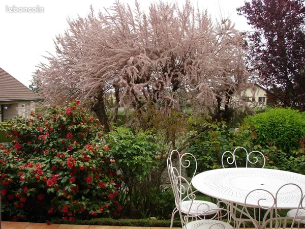 Maison St Georges Hauteville