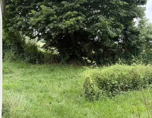 Maison 2 pièces 50 m²