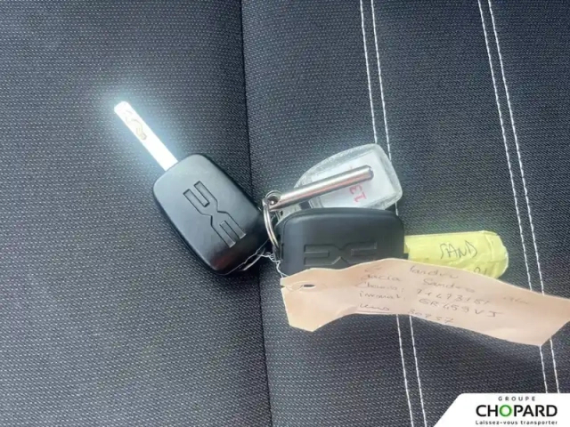 Dacia Sandero eco-g 100 — photo 16
