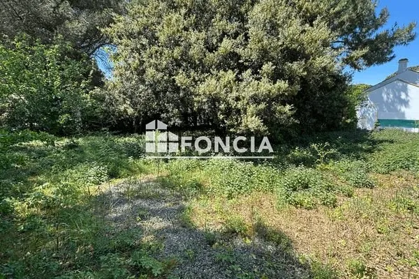 Terrain 368 m²