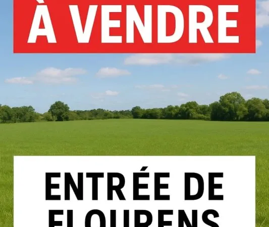 Terrain 11500 m²