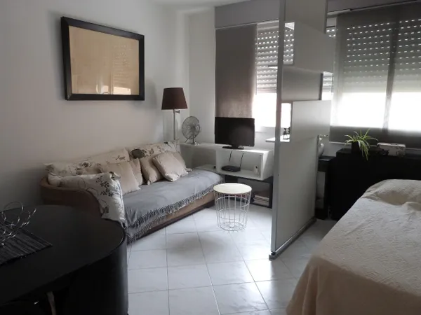 Appartement 1 pièce 26 m²