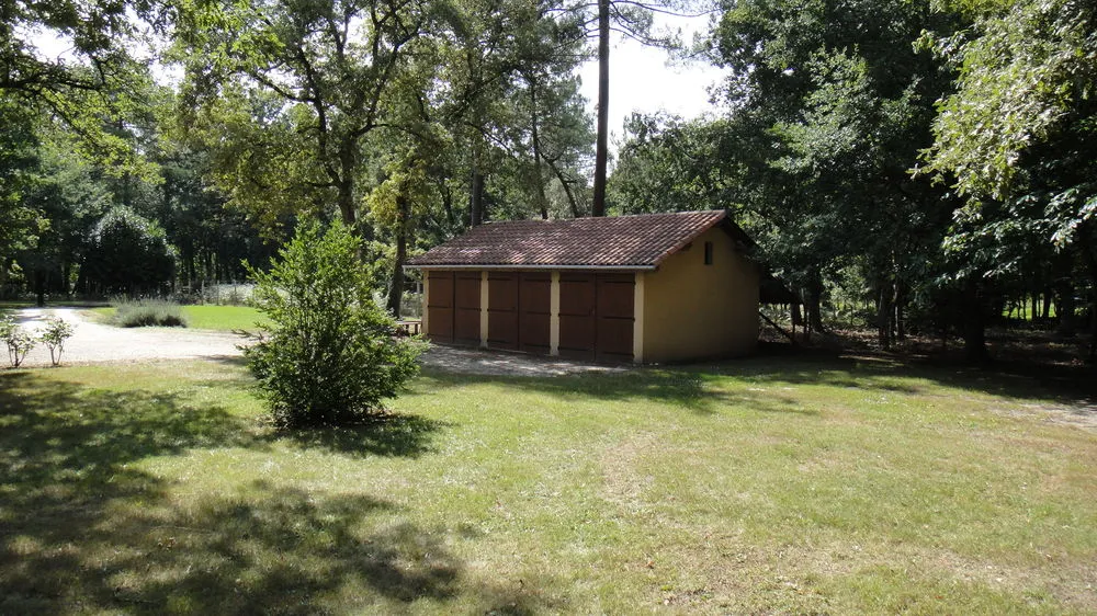 Photo 7
