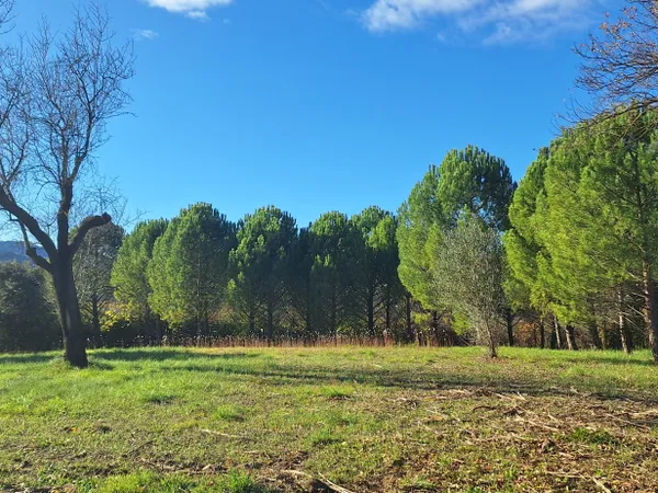 Terrain en lotissement 1101 m²