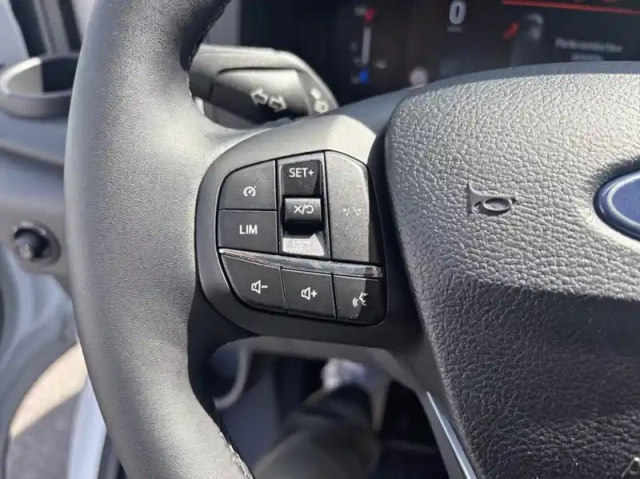Ford Transit fourgon fg t310 l2h2 2.0 ecoblue 130ch trend — photo 17