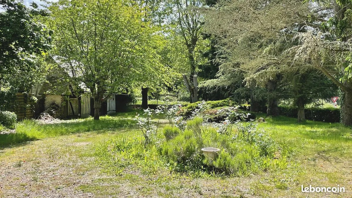 Photo 26