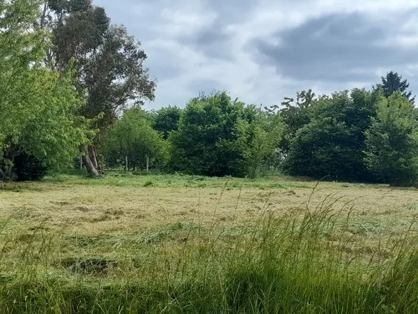 Terrain secteur Aillant sur tholon