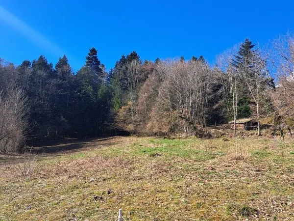 Terrain 3781 m²
