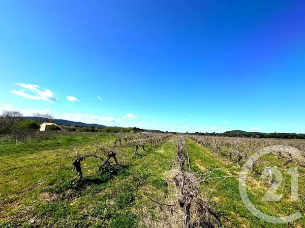 Terrain 10000 m²