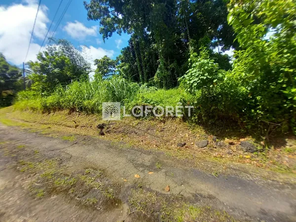 Terrain 2278 m²