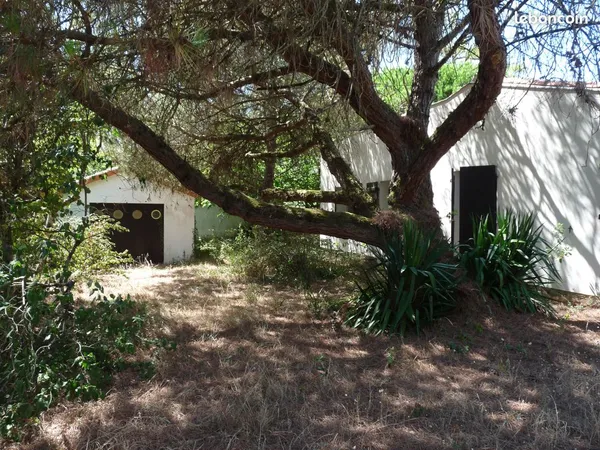 Maison T4 plain-pied 66 m² | Terrasse véranda 10 m² | Garage 24 m2 / Terrain 656 m2 / 300 m de la pl