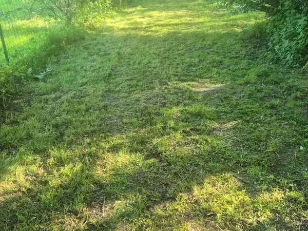 Terrain en plein nature