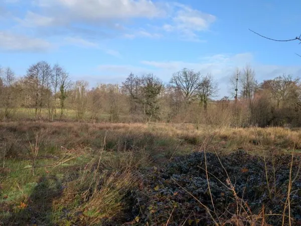 Terrain 11328 m²