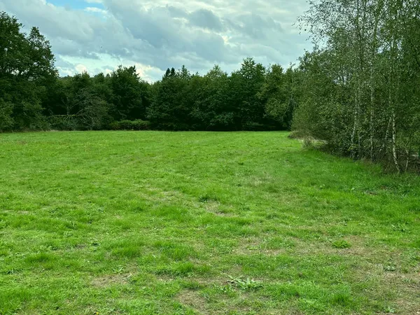 Terrain constructible (1 ha) avec 1 CU à Nantiat 87 Limousin