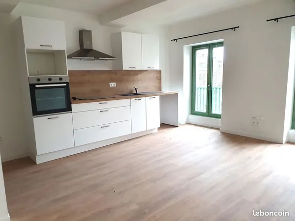 Beau T2 lumineux entièrement rénové traversant 43m2 en plein centre-ville