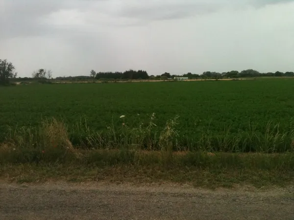 SUPERBE TERRAIN PLAT DE 4200M3 SUR 30 AIMARGUES NC