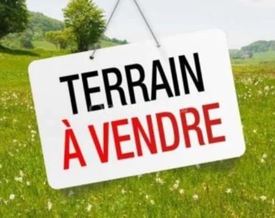 Terrain à boffres