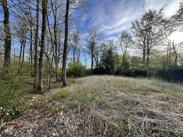Rare grand terrain constructible