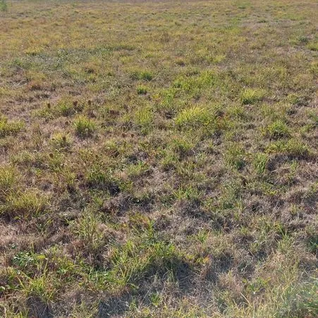 Terrain agricole