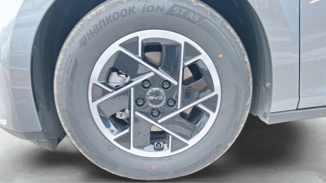 BYD Dolphin G 1.5 DM-i PHEV 212 ch — photo 13