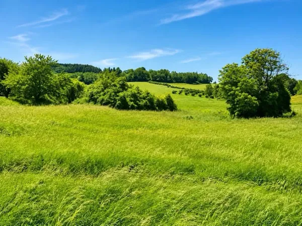 Terrain 3500 m²