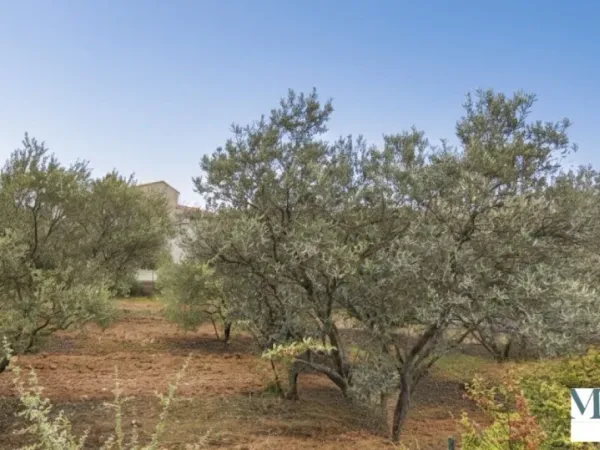 Terrain 411 m²
