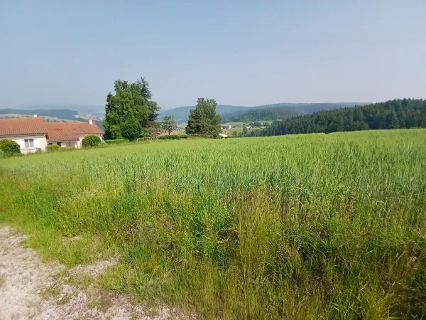 Terrain 950 m²