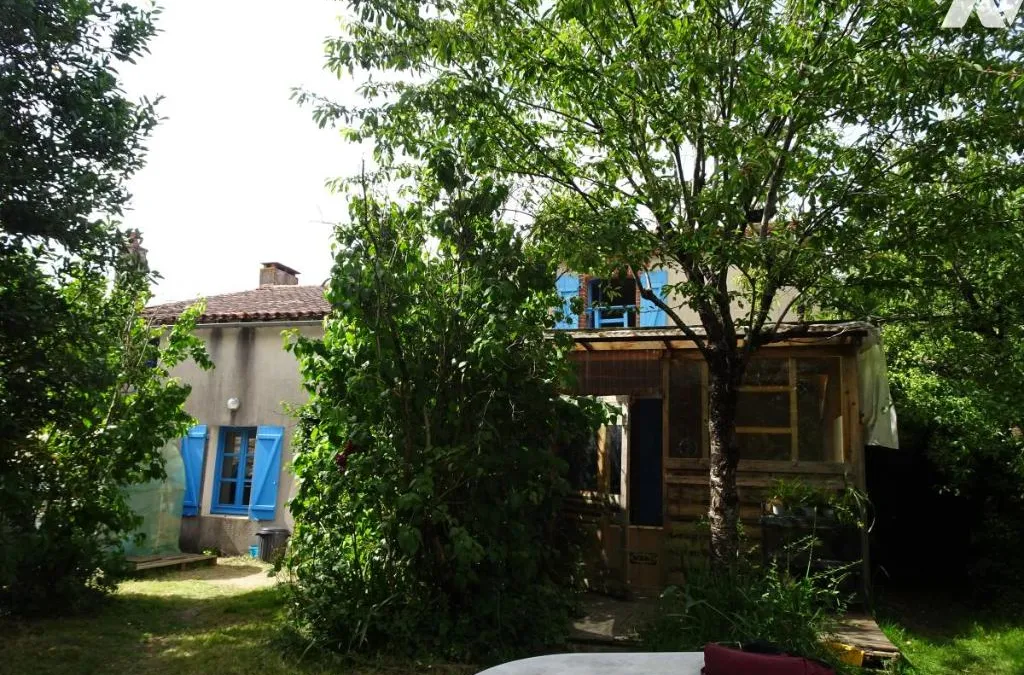 Photo 2