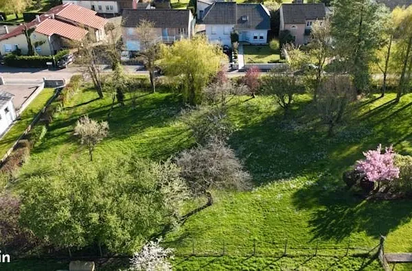 Terrain Holling