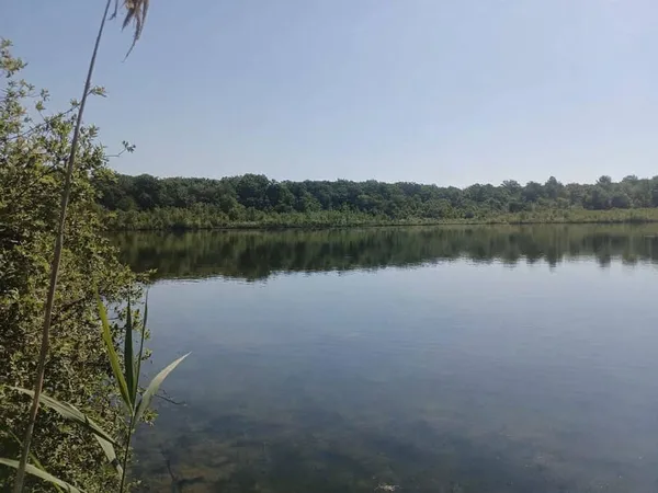 Propriété de loisirs 146487 m²