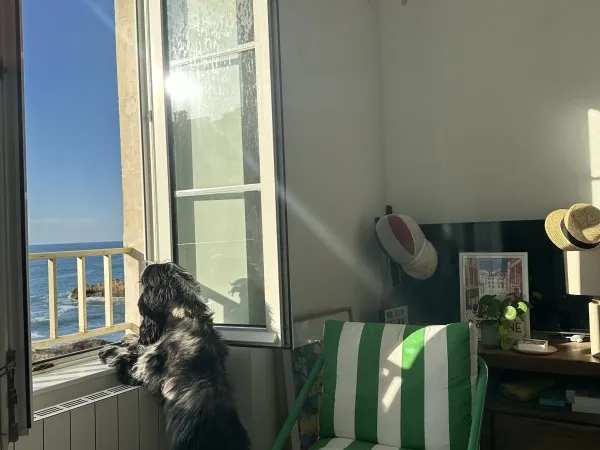 Sous-loue appartement avec vue mer
