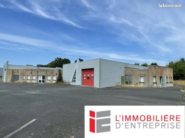 Local d'activité 1 113 m²