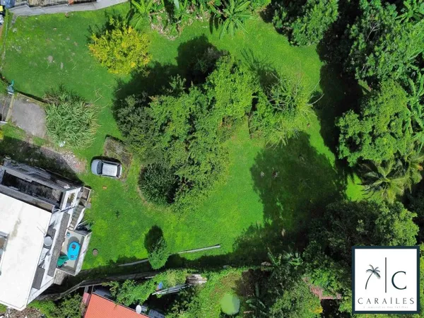 Un terrain au calme avec 40 % d'emprise à Fort-de-France