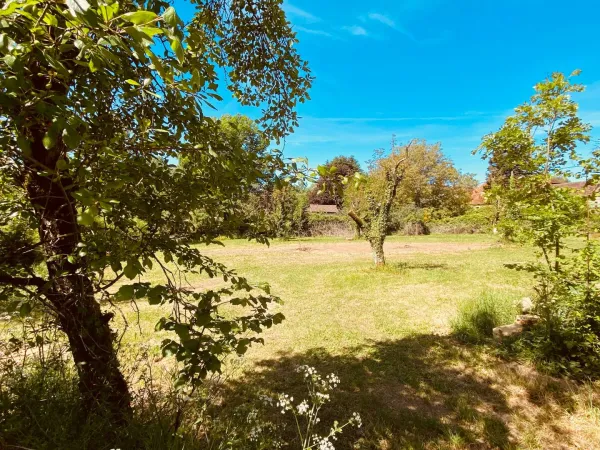 Terrain 140 m²