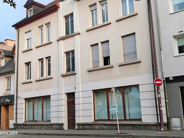 Local professionnel ou commercial à Colmar