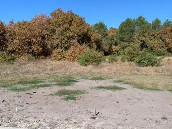 Terrain 700 m² Lege Cap Ferret