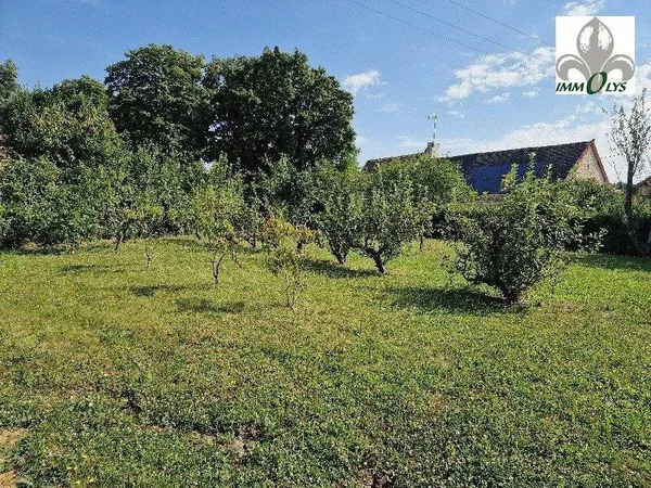 Terrain 557 m²
