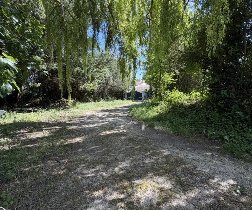 Photo 22