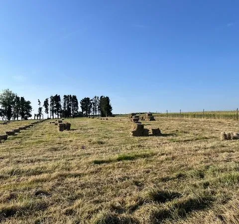 Deux terrain a batir de 1000 chacun en campagne