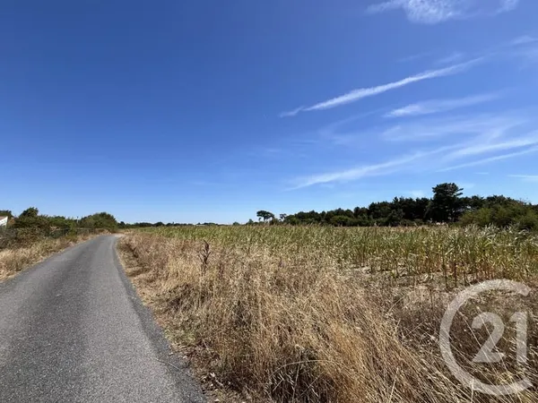 Terrain 291 m²